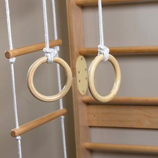 Gymnastic Rings